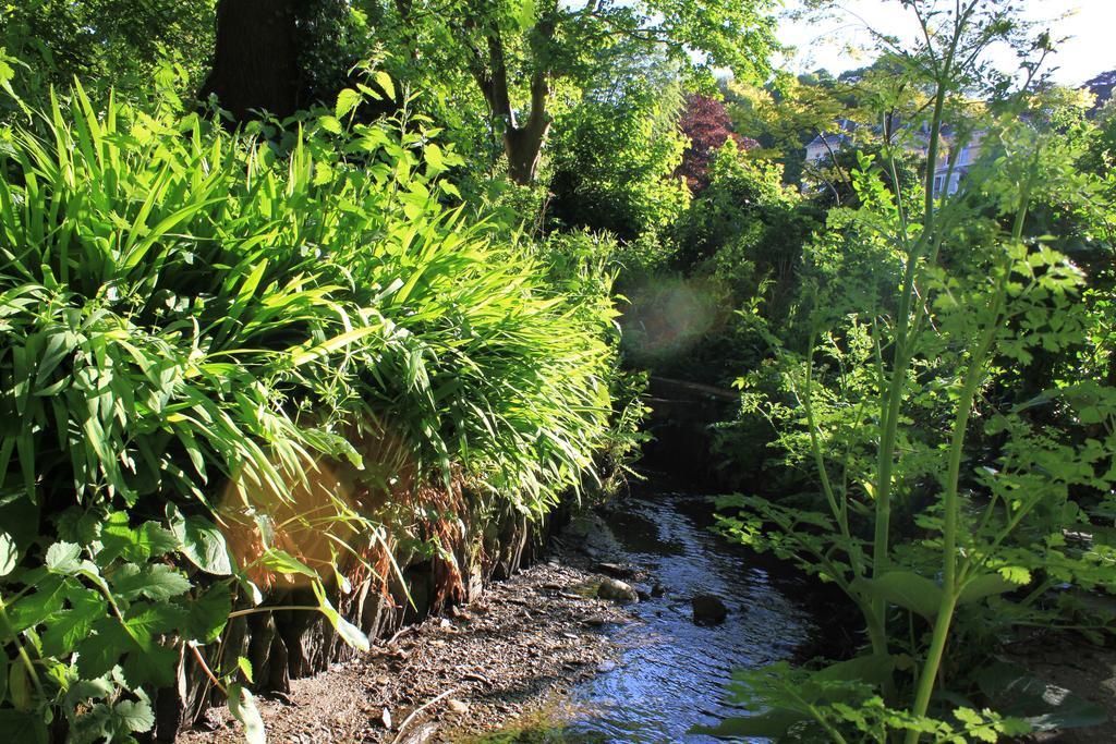 The Woodlands Hotel Ilfracombe Bagian luar foto