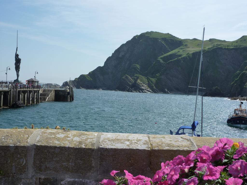 The Woodlands Hotel Ilfracombe Bagian luar foto